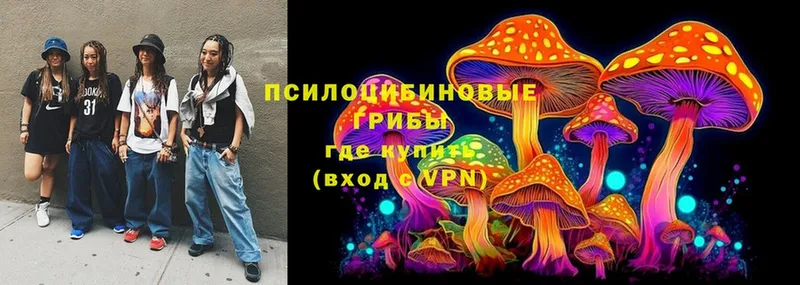 Галлюциногенные грибы Psilocybe  маркетплейс официальный сайт  Белая Калитва 